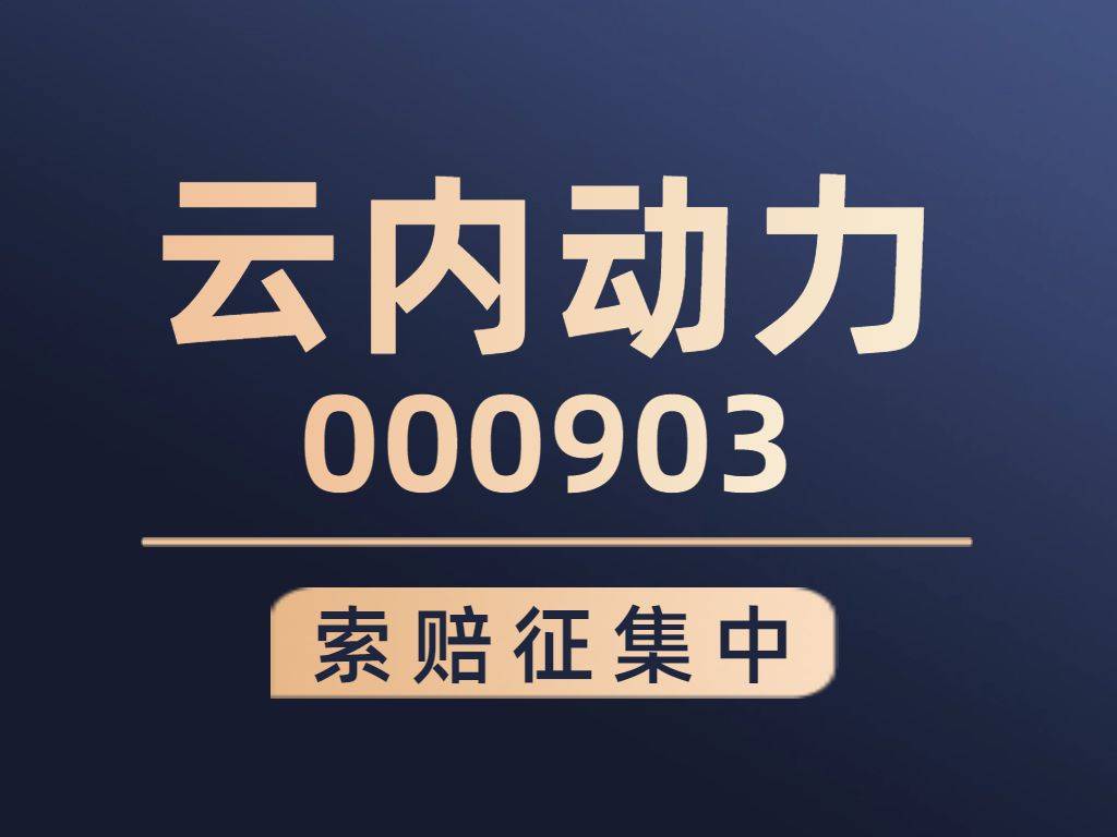 云内动力股票索赔指南：正式立案调查，云内动力股民索赔启动