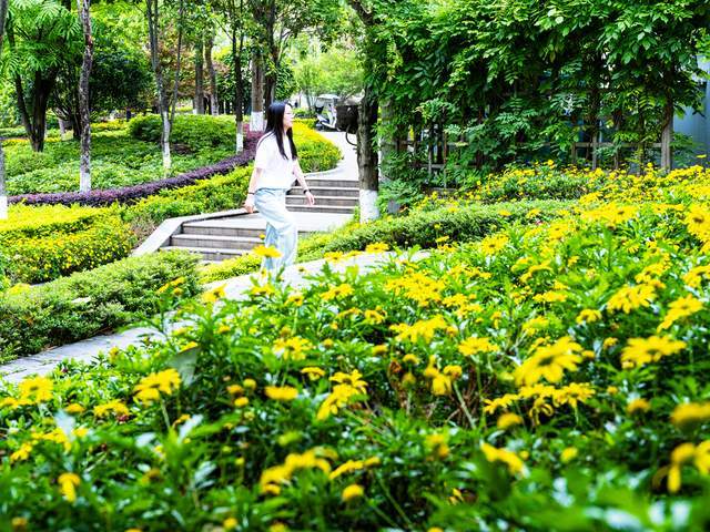 四川石棉：花开小城春意浓
