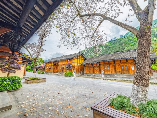 四川石棉：花开小城春意浓