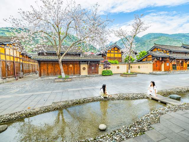 四川石棉：花开小城春意浓