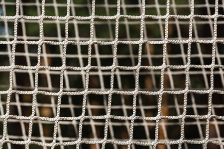 T网(t网络用语代表什么) T网(t网络用语代表什么)