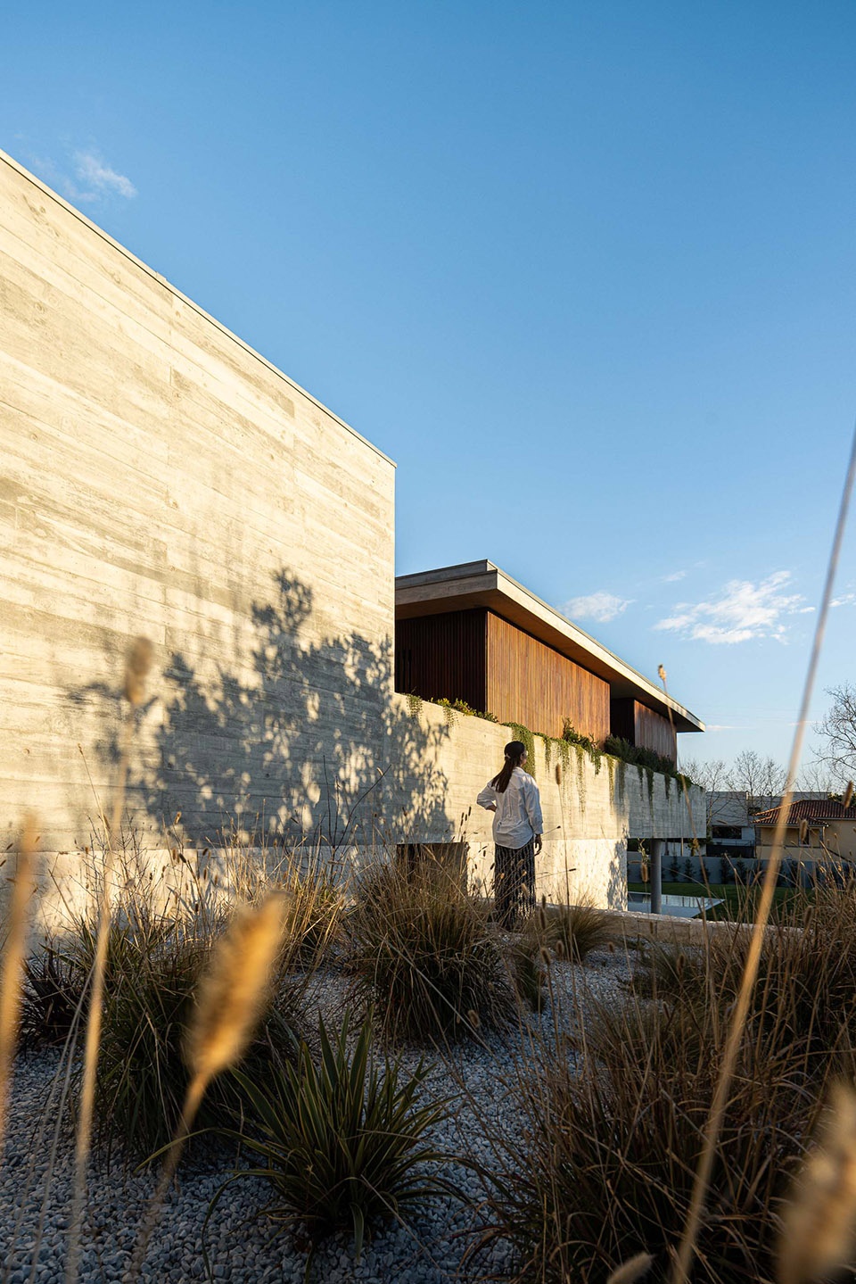 谷得(谷得公司)