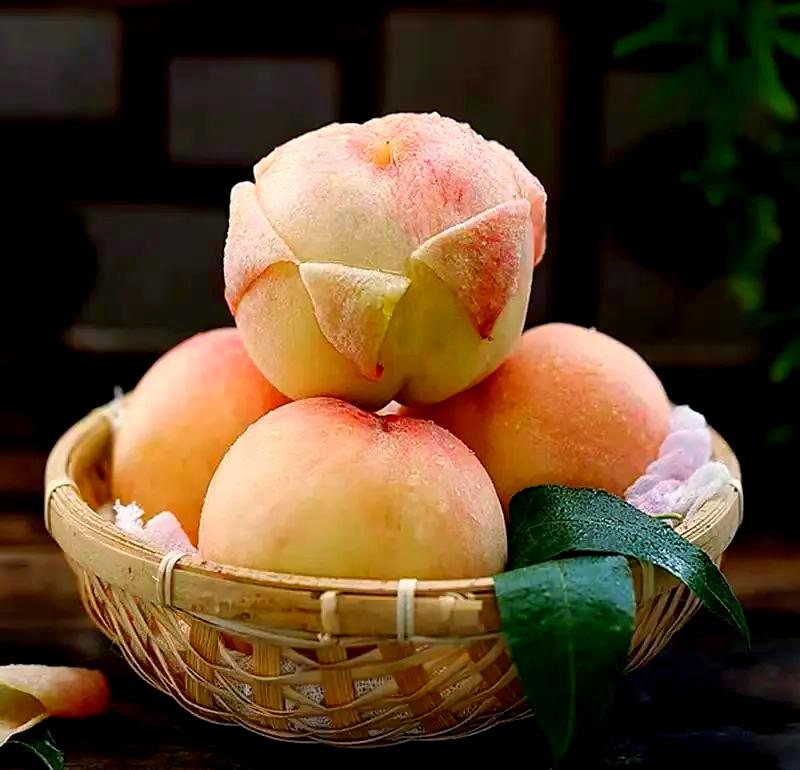 桃子(桃子的英文) 桃子(桃子的英文)