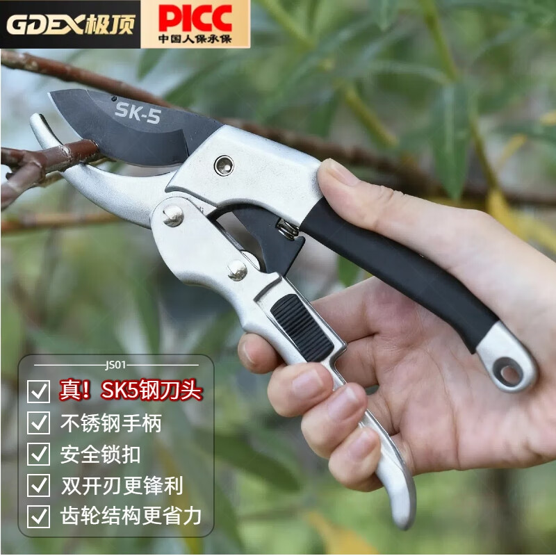 GDEX(广东二线城市有哪些)