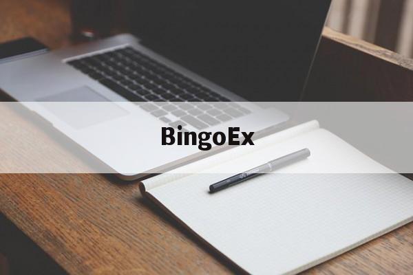 BingoEx(bingoex交易所)